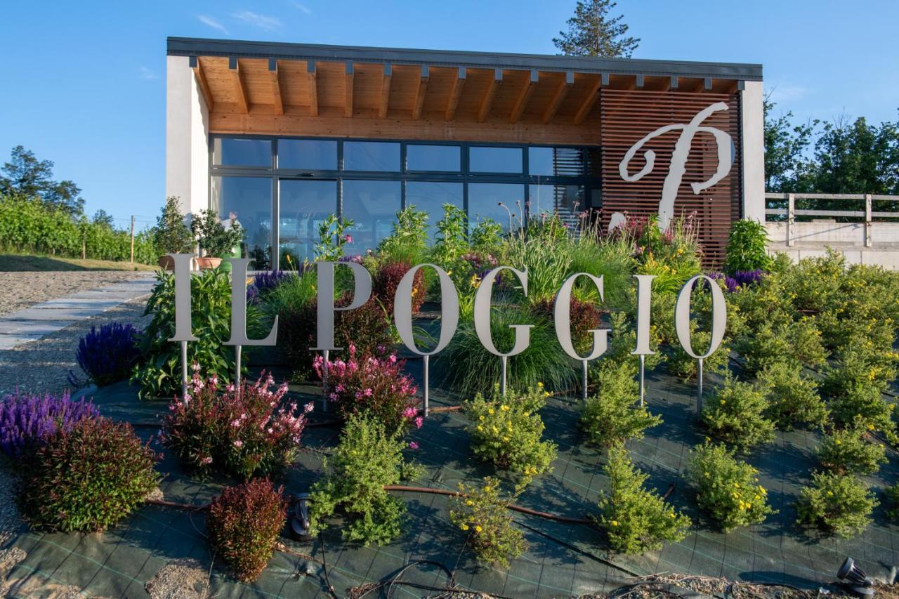 B&B Il Poggio Di Gavi Eksteriør billede