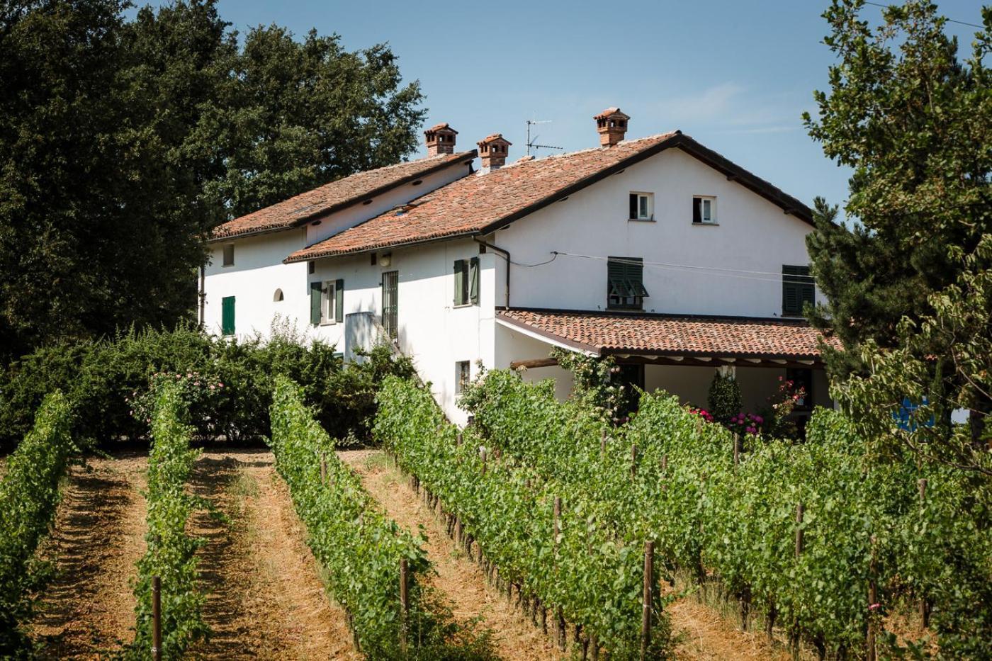 B&B Il Poggio Di Gavi Eksteriør billede