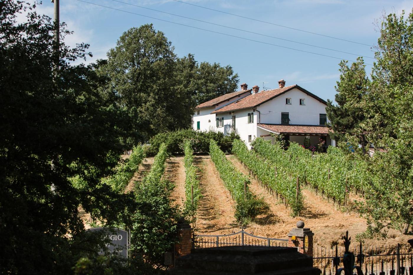 B&B Il Poggio Di Gavi Eksteriør billede